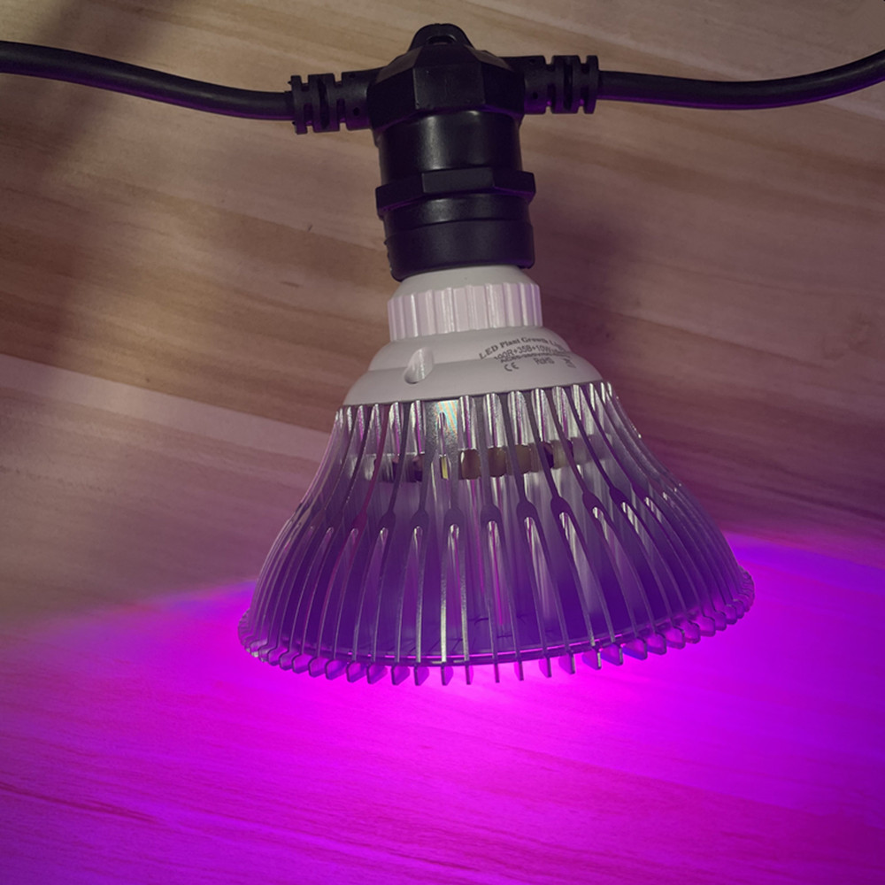 Светодиодная гирлянда 10 м, ко – обзор и цена Smart Garden Light