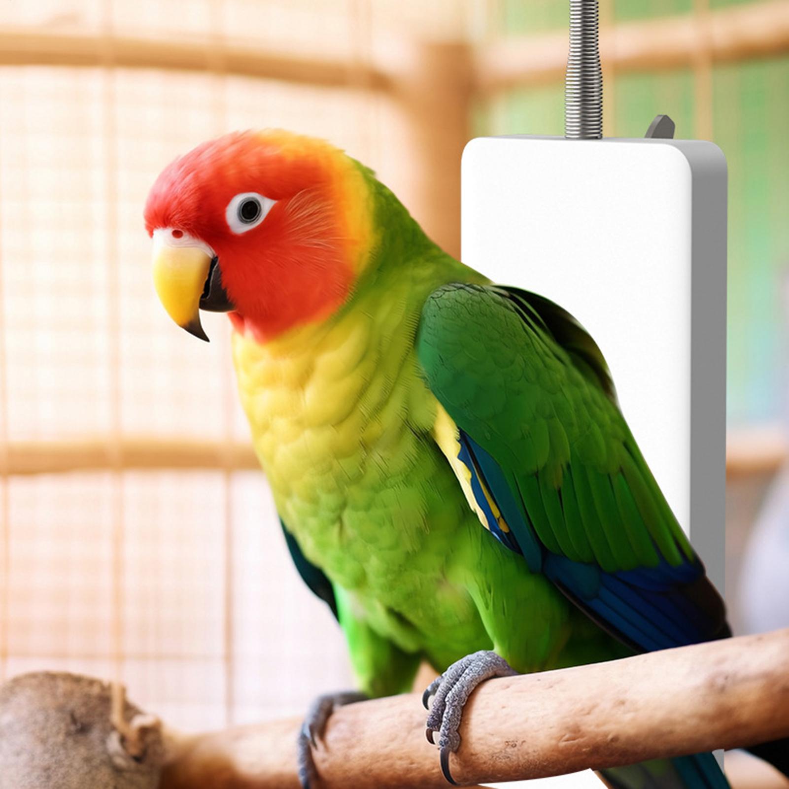 Умный обогреватель для домашни – обзор и цена Smart Garden Bird Bath