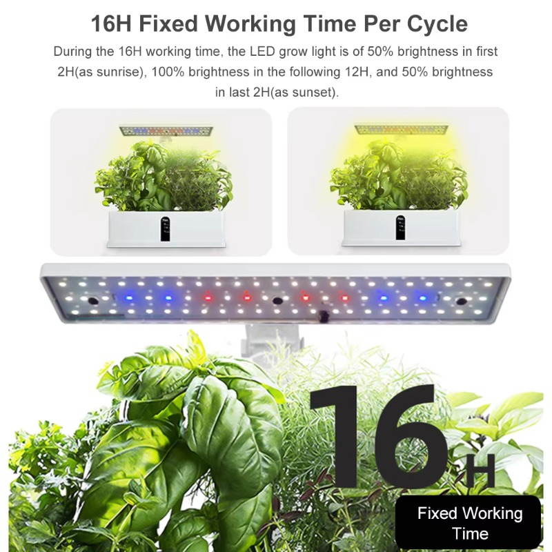 9-секционная умная гидропонная – обзор и цена Smart Garden Light