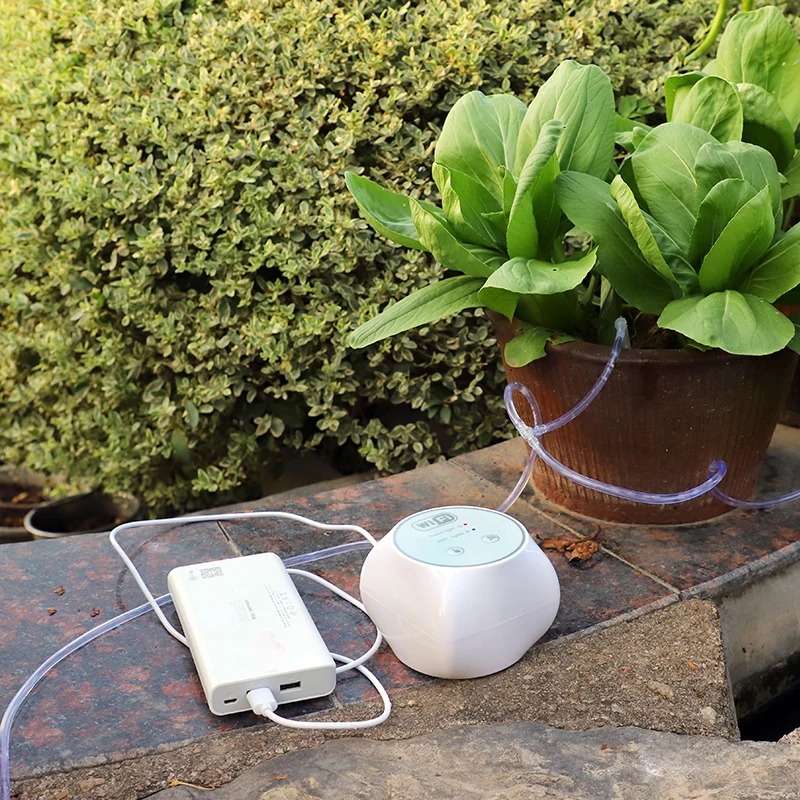 Wi-Fi Ленивый автоматический н – обзор и цена Smart Garden Iot
