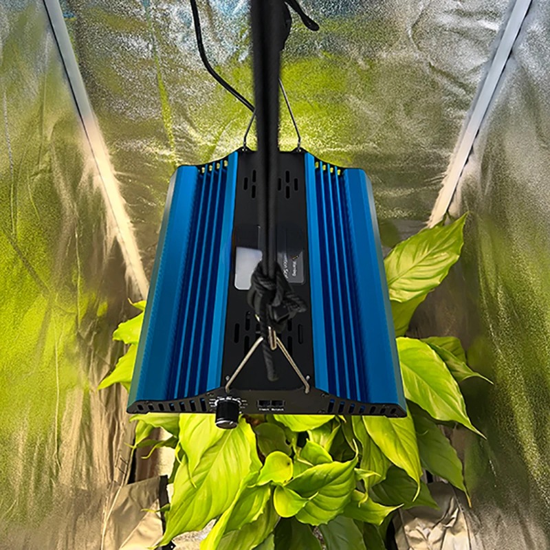 Тент для растений 60*60*160 см – обзор и цена Grow Tent Complete Kit