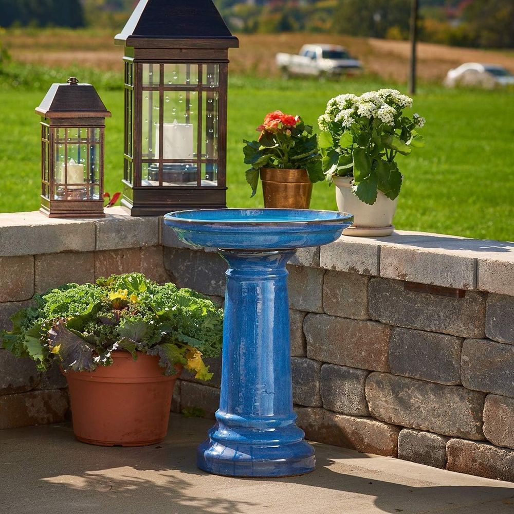 Умная уличная кормушка для пти – обзор и цена Smart Garden Bird Bath
